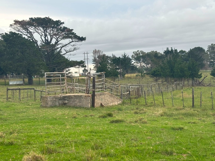 Commercial Property for Sale in Colleen Glen Eastern Cape